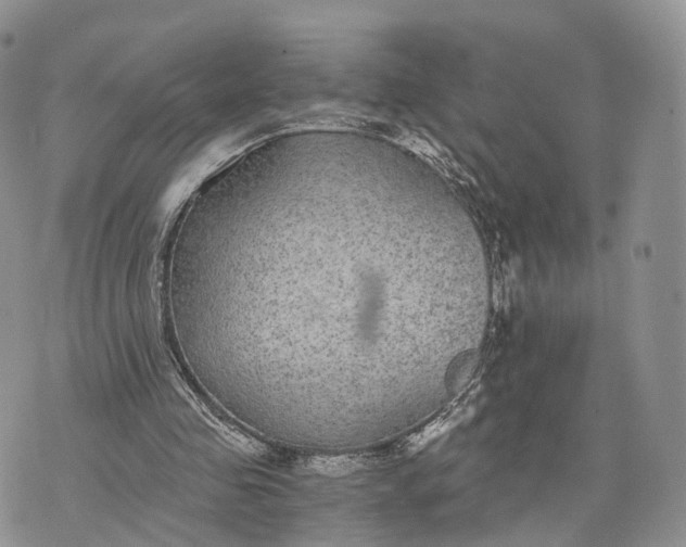 X0000072960341200608111656