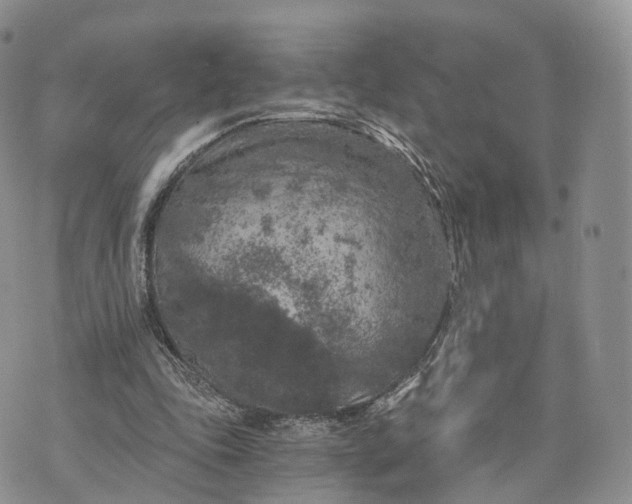 X0000072960343200608111656