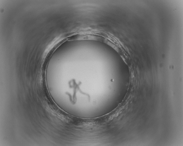 X0000072960344200608111656