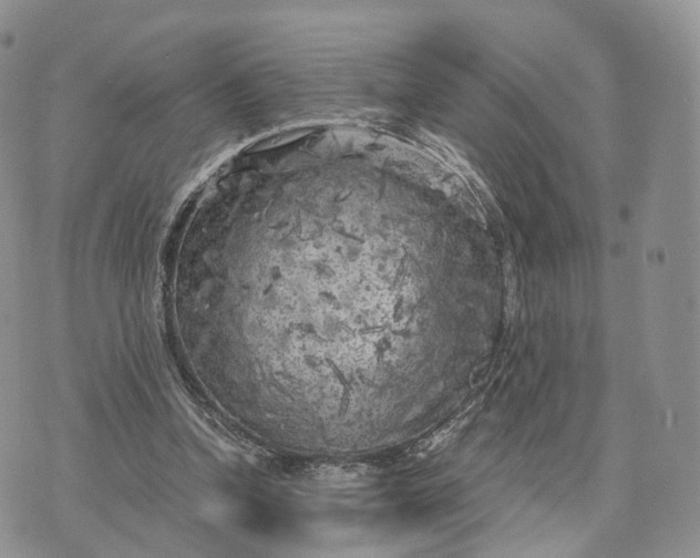 X0000072960346200608111656