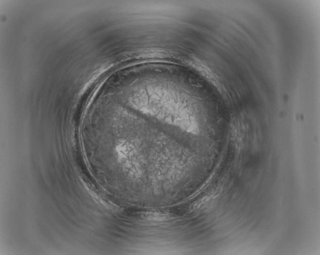 X0000072960347200608111656