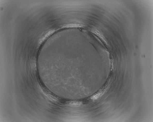 X0000072960348200608111656