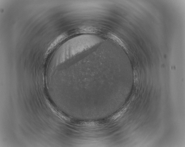 X0000072960349200608111656