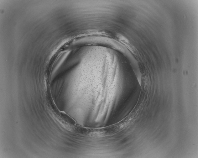 X0000072960350200608111656