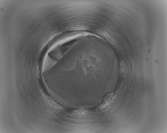 X0000072960351200608111656