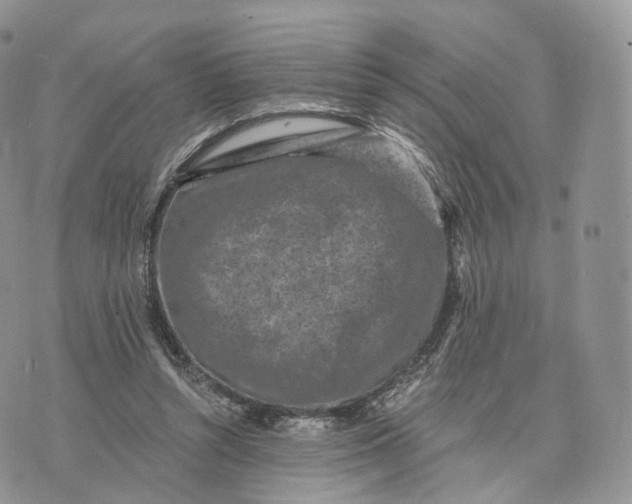 X0000072960352200608111656