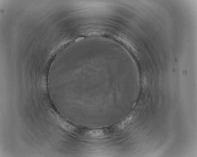 X0000072960353200608111656