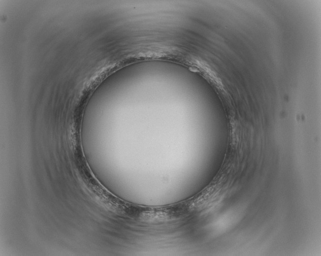 X0000072960354200608111656