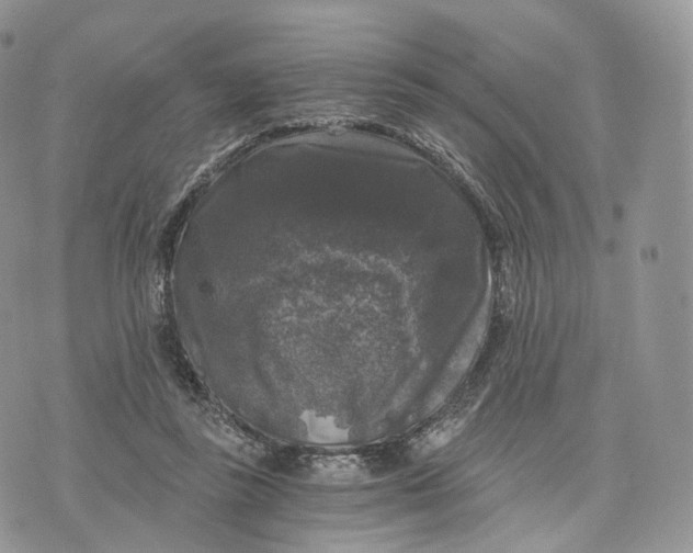 X0000072960355200608111656