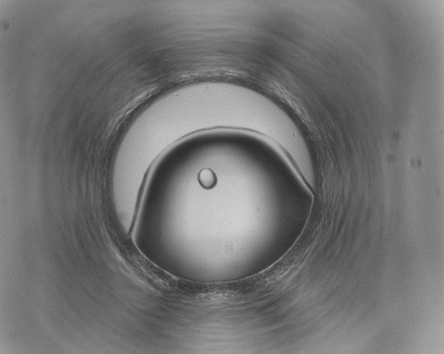 X0000072960356200608111656