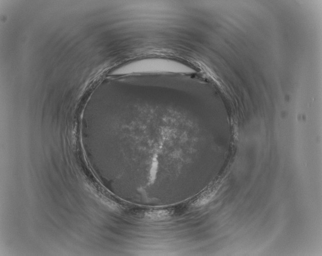 X0000072960357200608111656