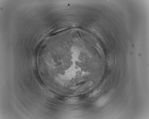 X0000072960359200608111657