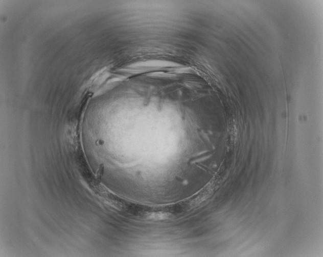 X0000072960360200608111657