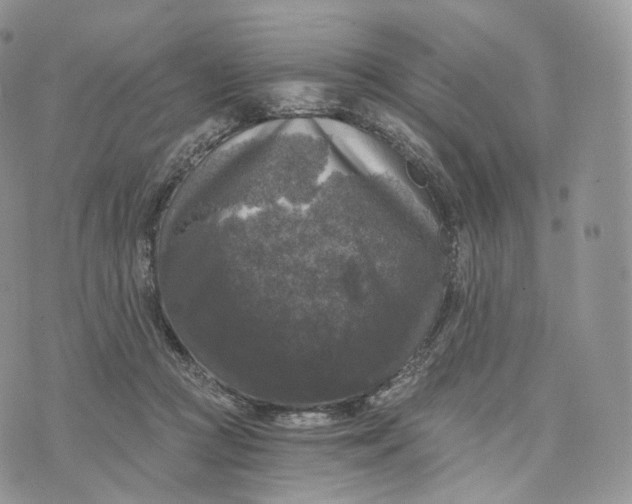 X0000072960361200608111657