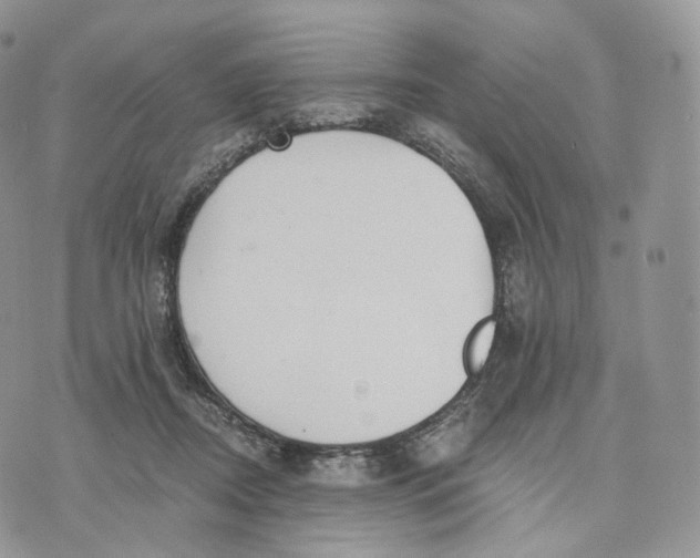 X0000072960362200608111657