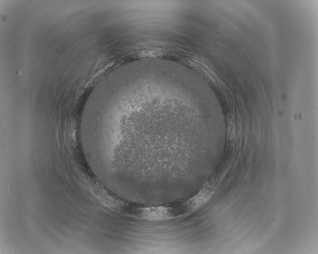 X0000072960363200608111657