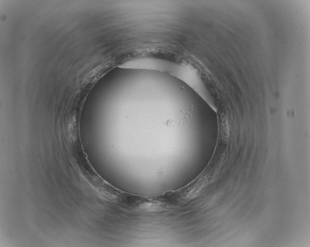 X0000072960364200608111657