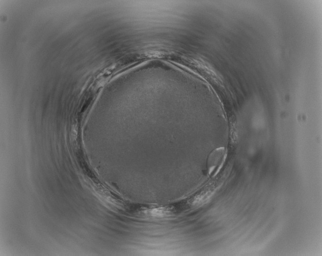 X0000072960365200608111657