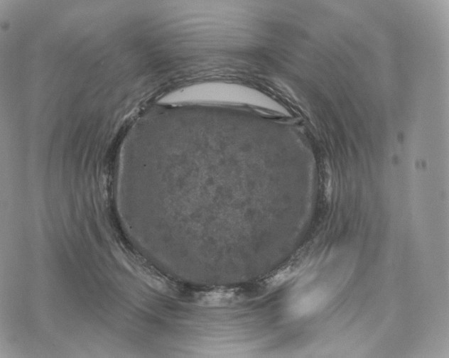 X0000072960366200608111657