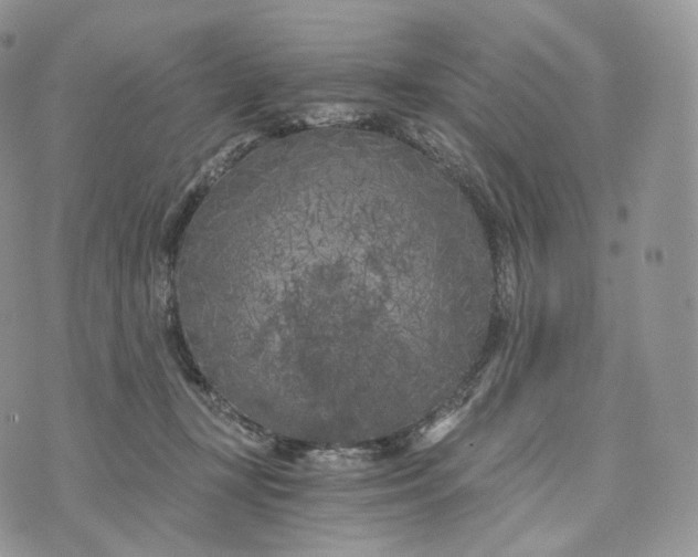 X0000072960367200608111657