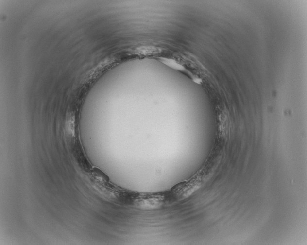 X0000072960368200608111657