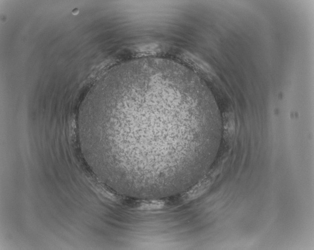 X0000072960369200608111657