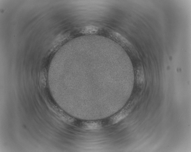 X0000072960370200608111657