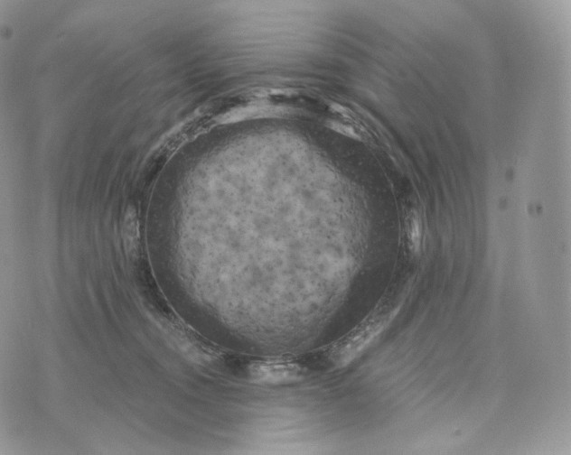 X0000072960372200608111657