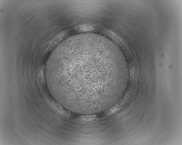 X0000072960373200608111657