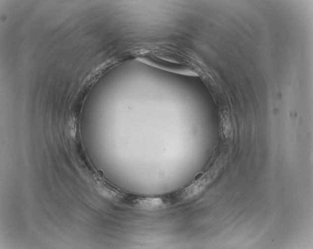 X0000072960374200608111657