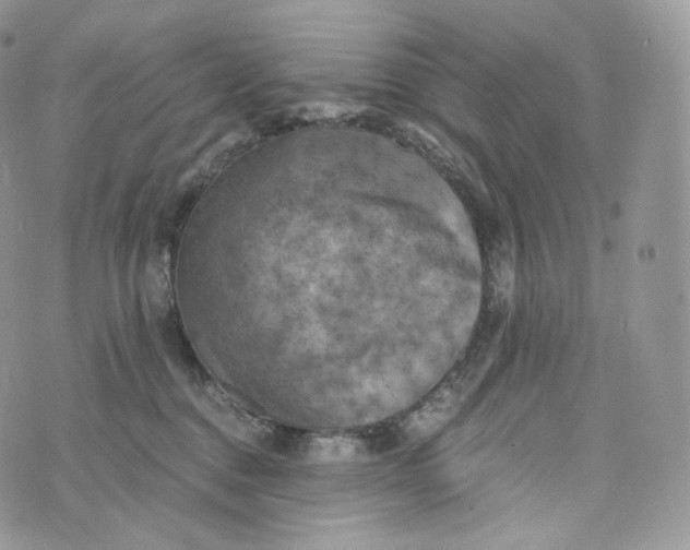 X0000072960376200608111657