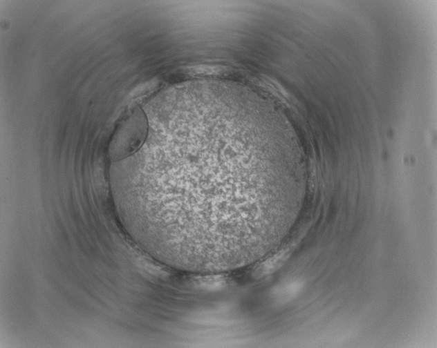 X0000072960377200608111657