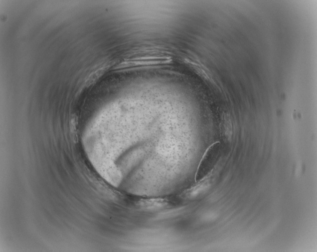 X0000072960378200608111657