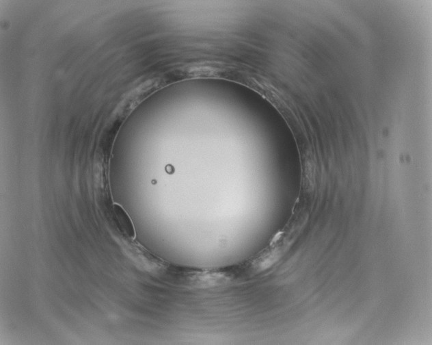 X0000072960379200608111657