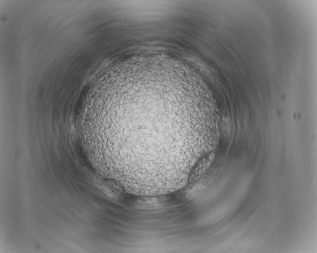 X0000072960381200608111657