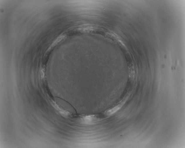 X0000072960382200608111657