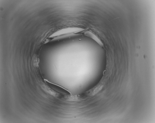 X0000072960384200608111657