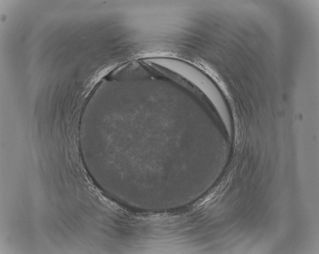 X0000072960385200608111656