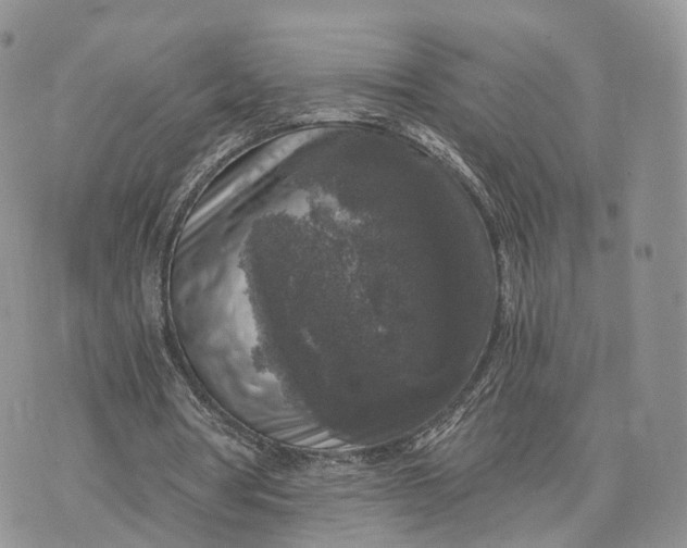 X0000072960386200608111656