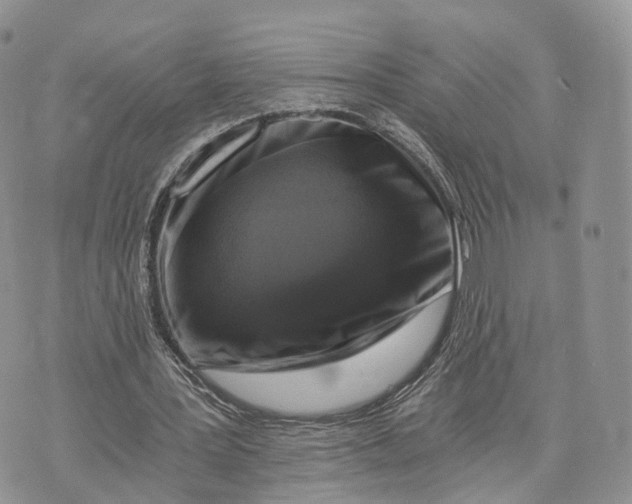 X0000072960387200608111656