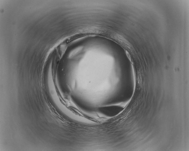 X0000072960388200608111656