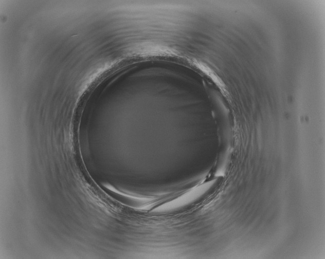 X0000072960391200608111656