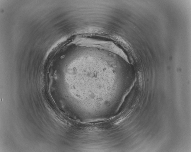 X0000072960392200608111656