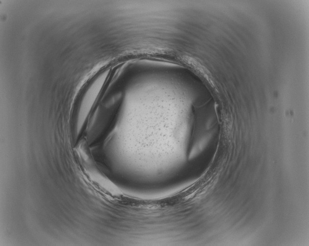 X0000072960395200608111656