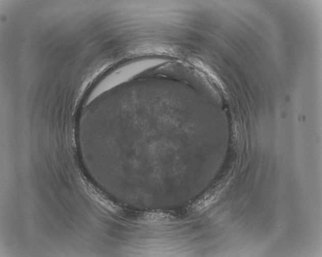 X0000072960399200608111656