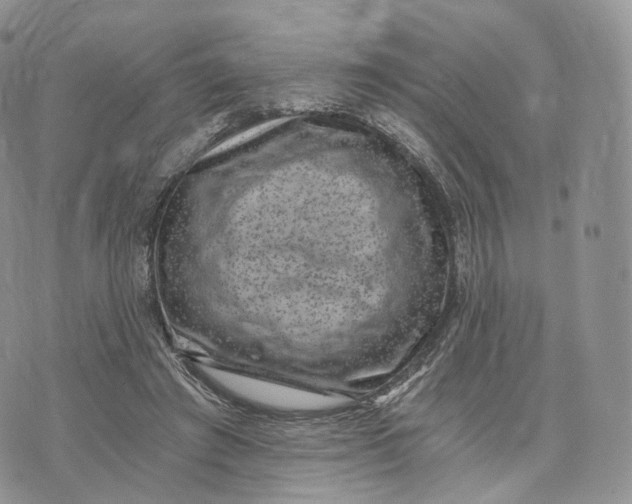 X0000072960401200608111656