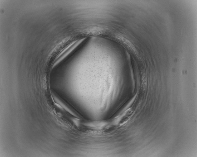 X0000072960403200608111656