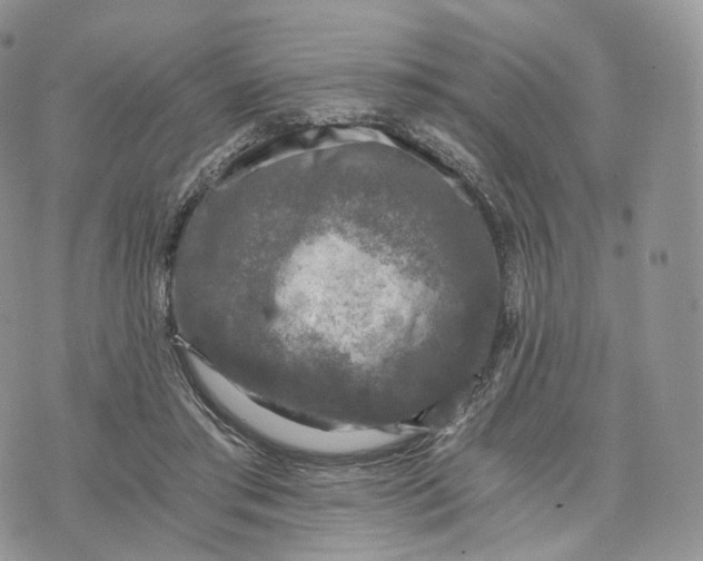 X0000072960405200608111656