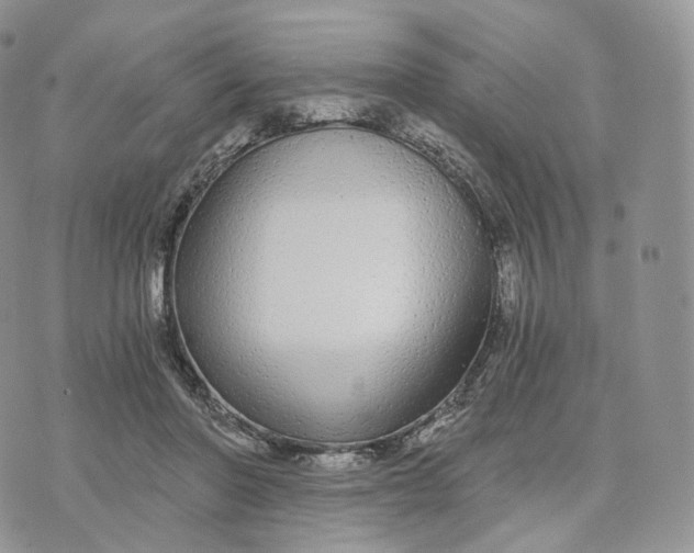 X0000072960406200608111656