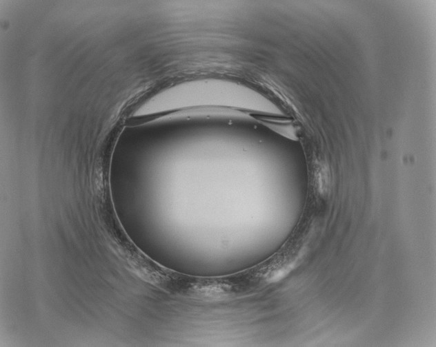 X0000072960407200608111656